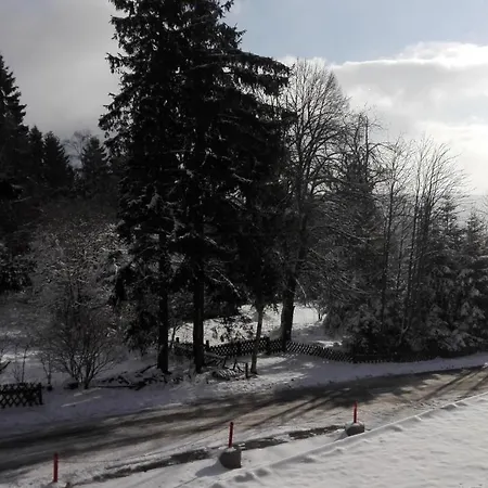 Fichtenweg 54 Daire Winterberg