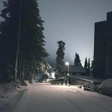 Daire Fichtenweg 54 Winterberg