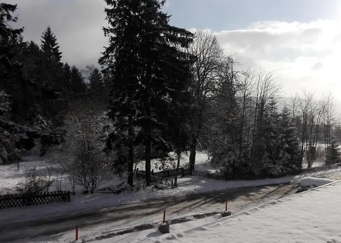 Fichtenweg 54 Apartman Winterberg