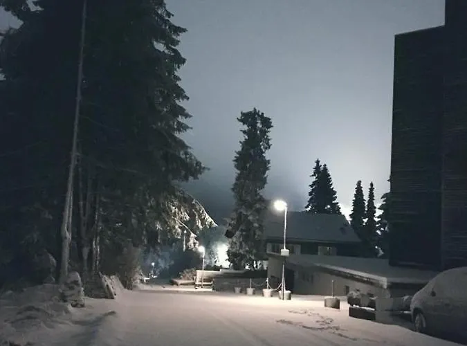Apartment Fichtenweg 54 Winterberg